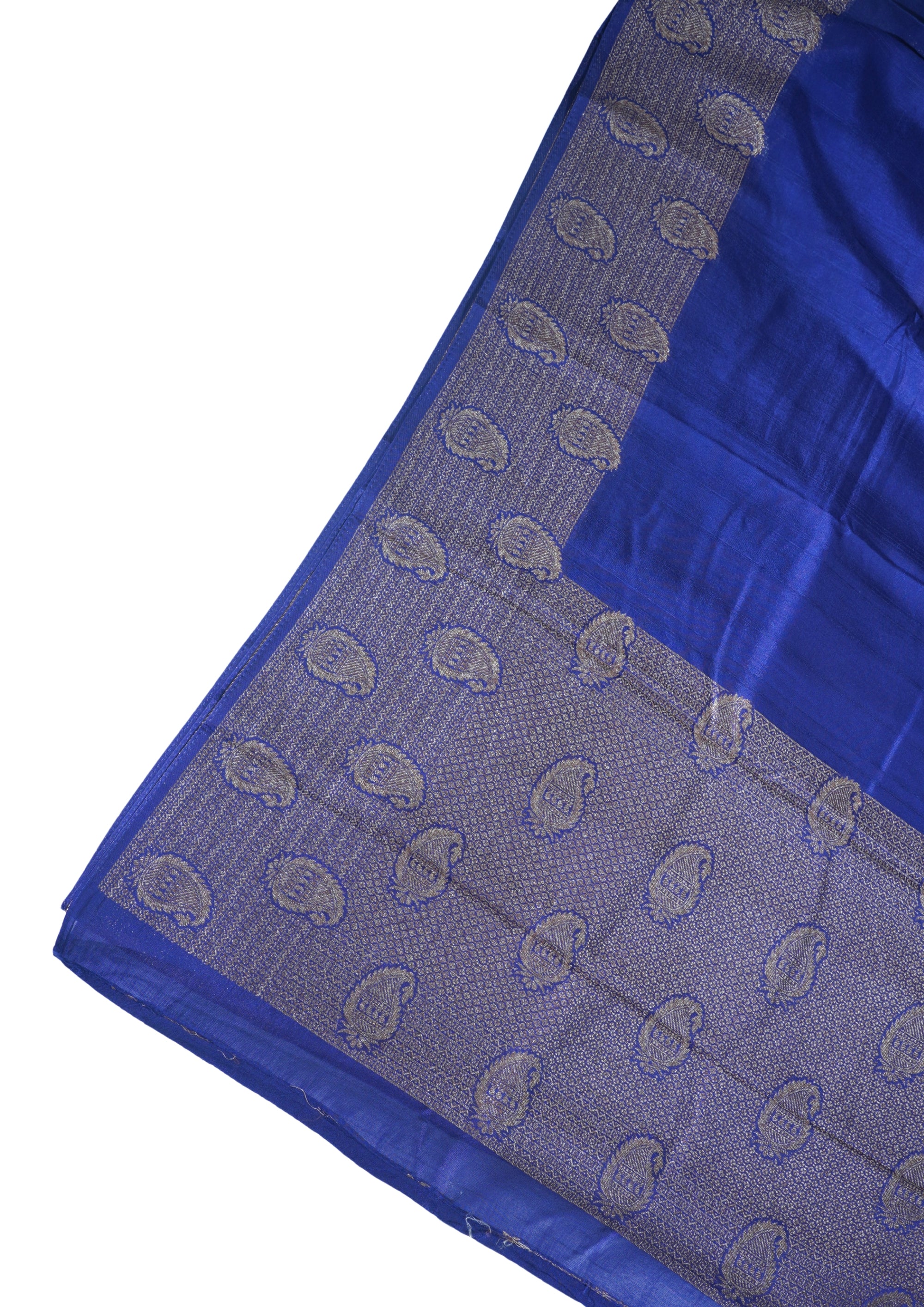 Blue Tussar Georgette Saree with Antique Zari Border