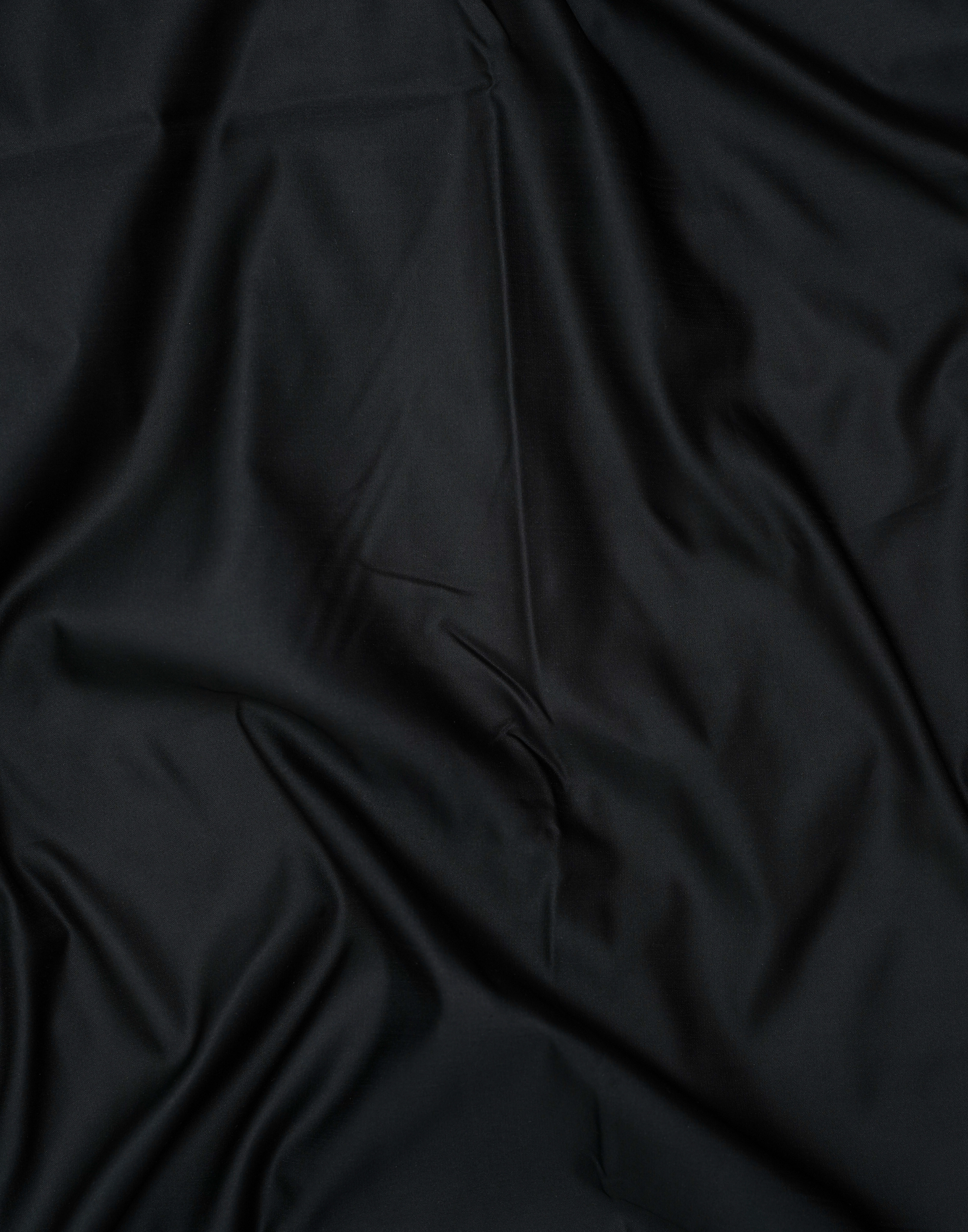 Black Banarasi Mushroo Silk Saree with Zari Border