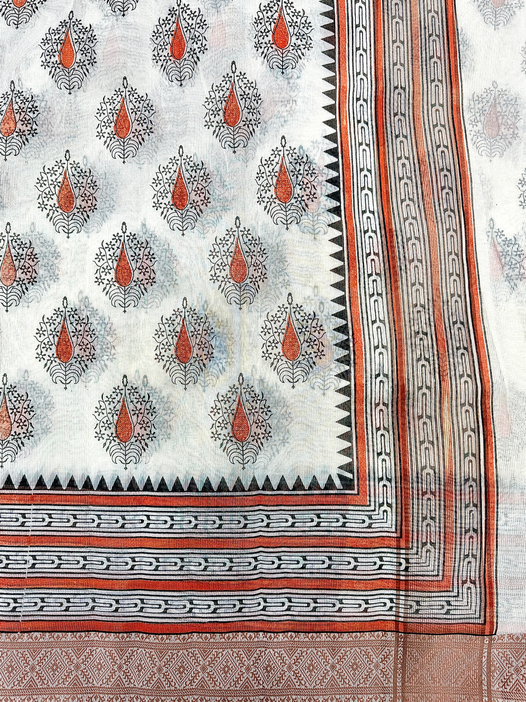 Off White Supernet Cotton Saree with Coral Leaf Embroidery & Contrast Border