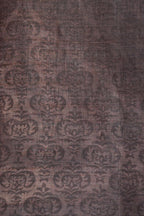 Brown Tussar Silk Saree with Kalamkari Print (Washable)