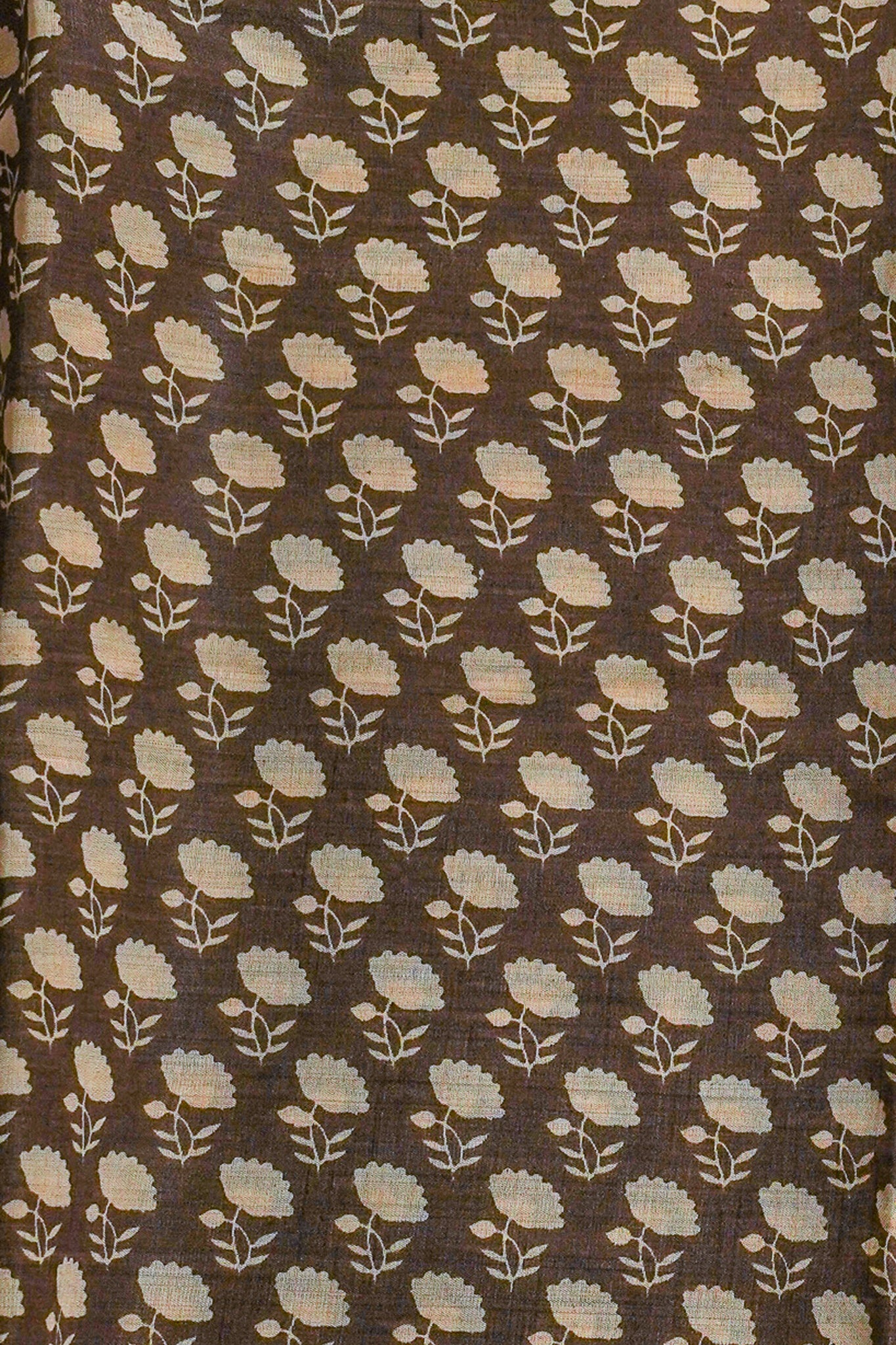 Brown Tussar Silk Saree with Kalamkari Print (Washable)