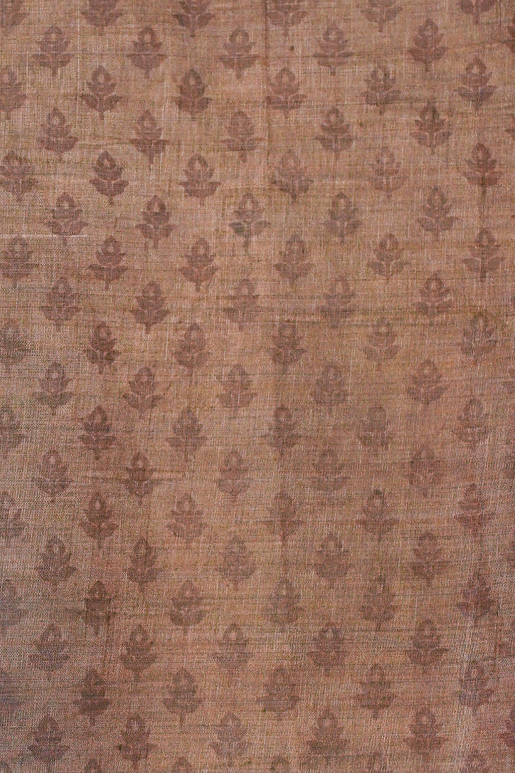 Brown Tussar Silk Saree with Kalamkari Print (Washable)
