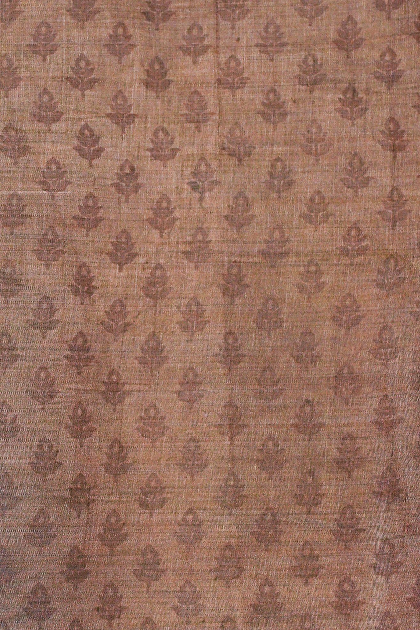 Brown Tussar Silk Saree with Kalamkari Print (Washable)