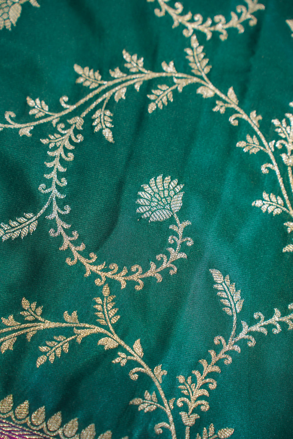 Green Mushroo Silk Saree with Pink Contrast Border