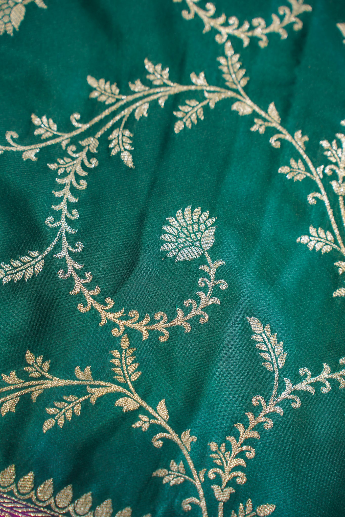 Green Mushroo Silk Saree with Pink Contrast Border
