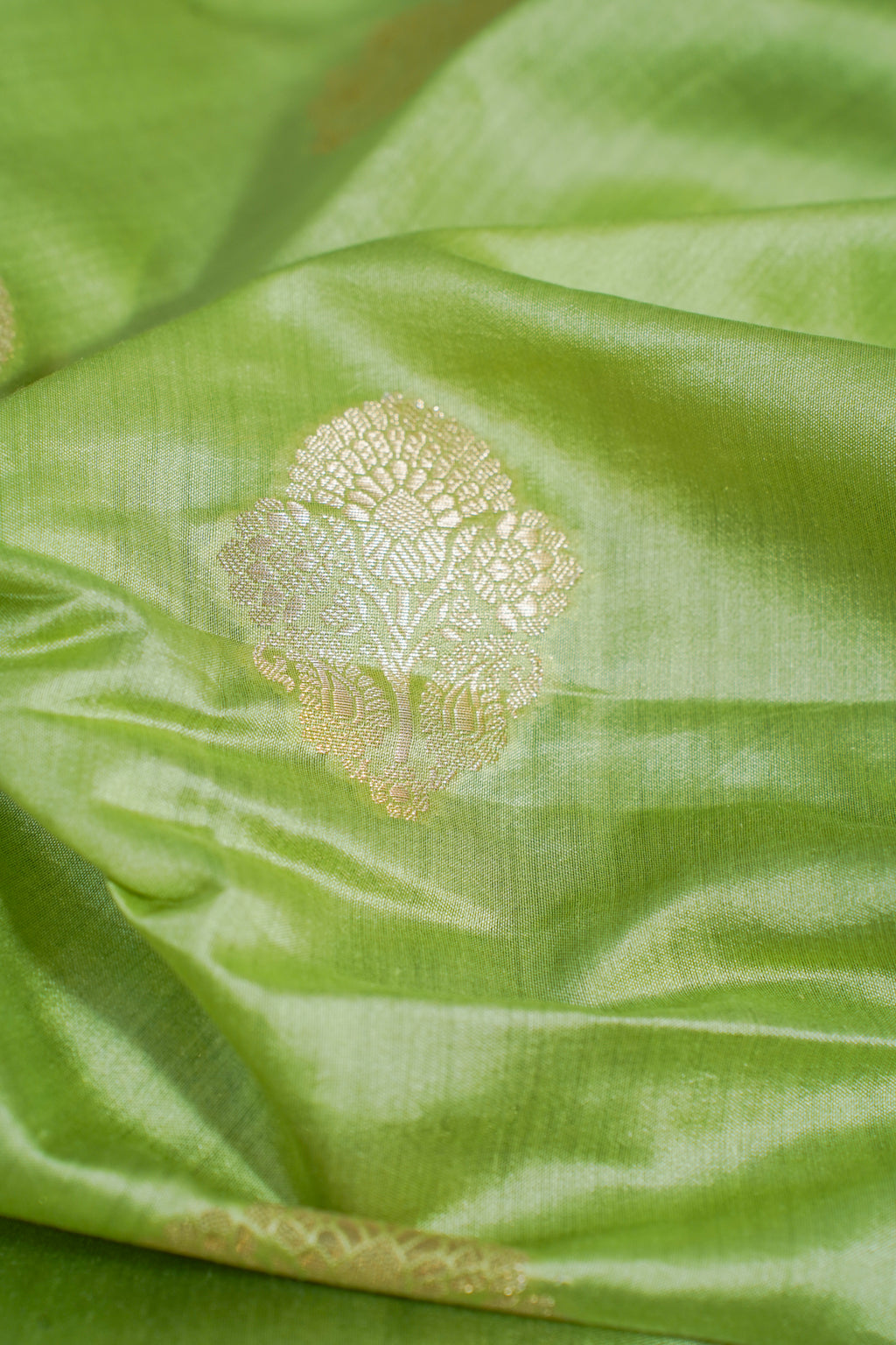 Close-up of green fabric with a gold embroidered design