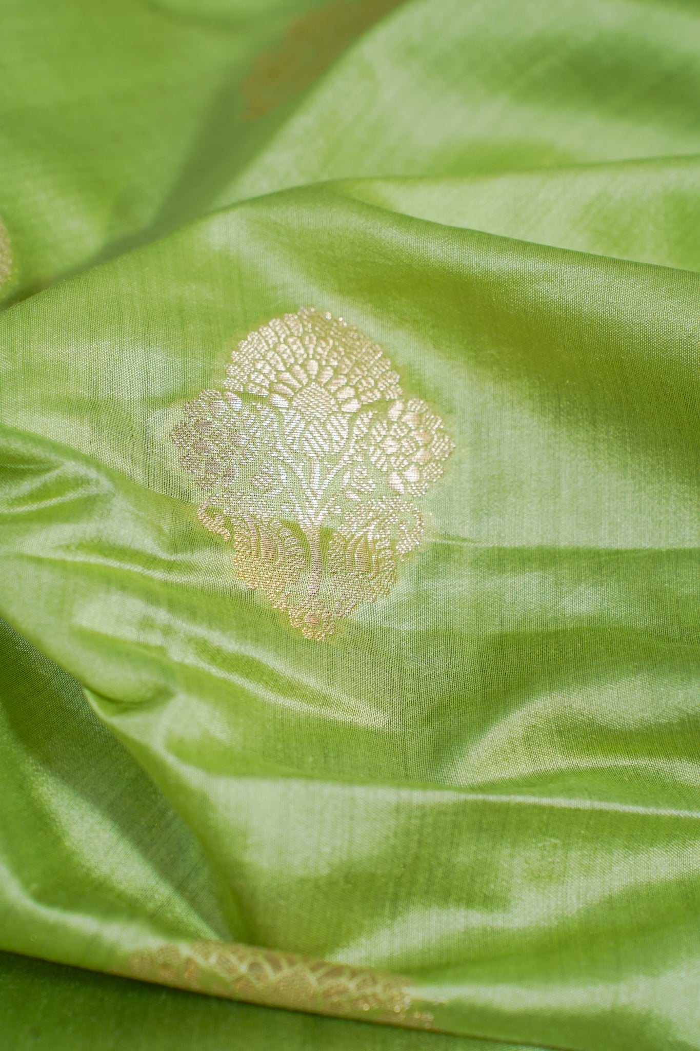 Close-up of green fabric with a gold embroidered design